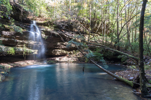 Bankhead National Forest